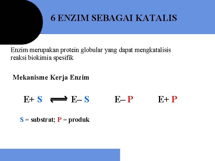 6 ENZIM SEBAGAI KATALIS Enzim merupakan protein globular yang dapat mengkatalisis reaksi biokimia spesifik