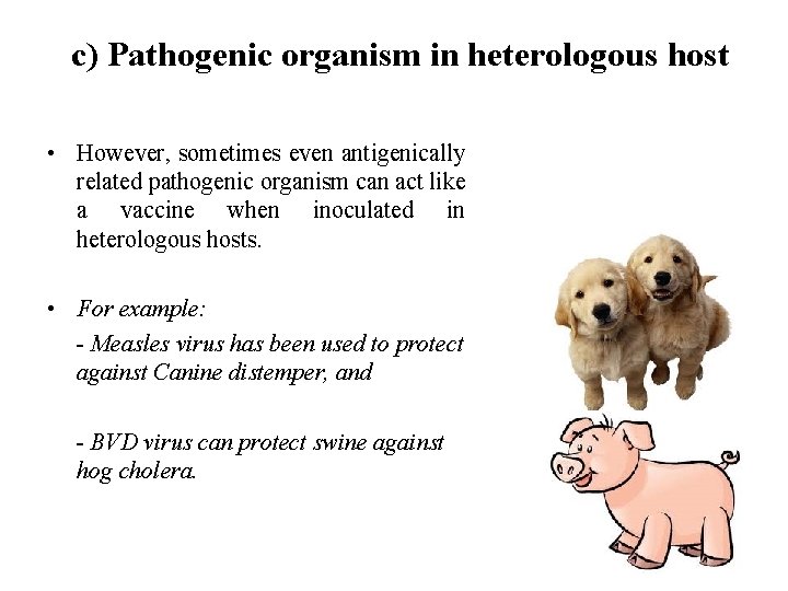c) Pathogenic organism in heterologous host • However, sometimes even antigenically related pathogenic organism