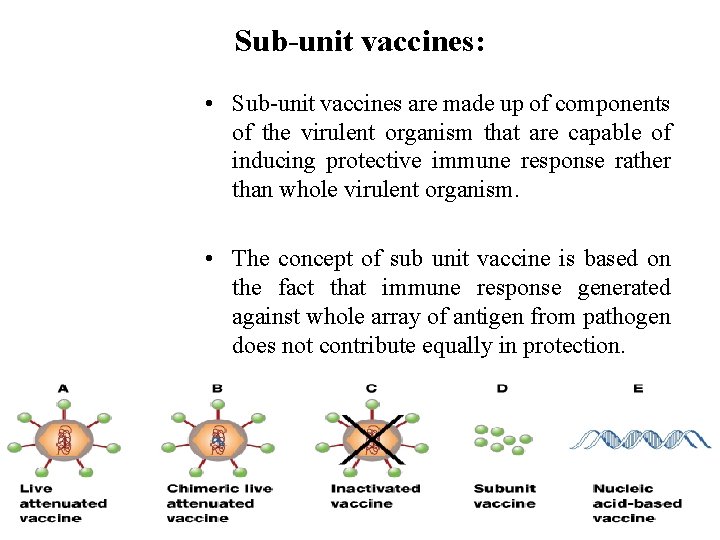 Sub-unit vaccines: • Sub-unit vaccines are made up of components of the virulent organism