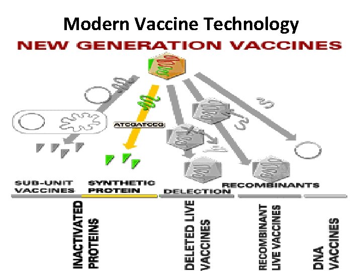 Modern Vaccine Technology 