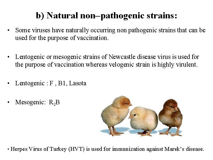 b) Natural non–pathogenic strains: • Some viruses have naturally occurring non pathogenic strains that