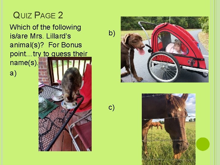 QUIZ PAGE 2 Which of the following is/are Mrs. Lillard’s animal(s)? For Bonus point…try