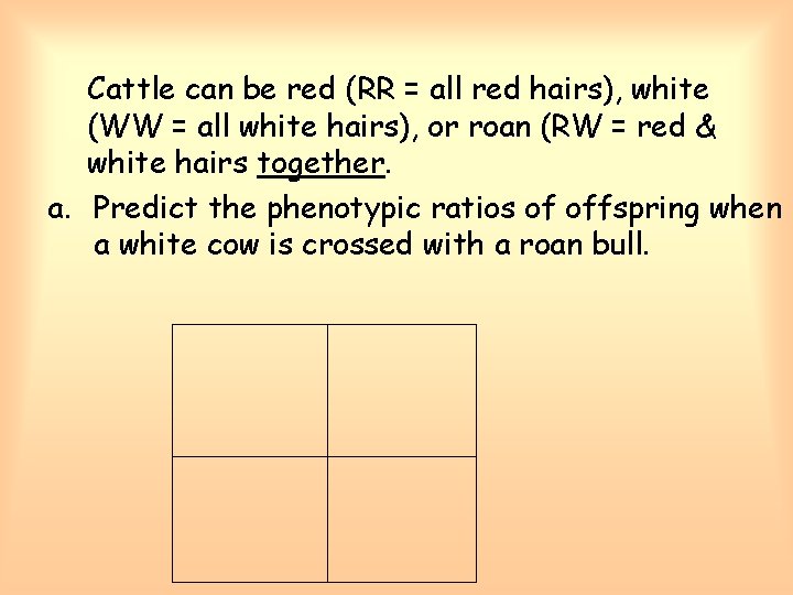 Cattle can be red (RR = all red hairs), white (WW = all white