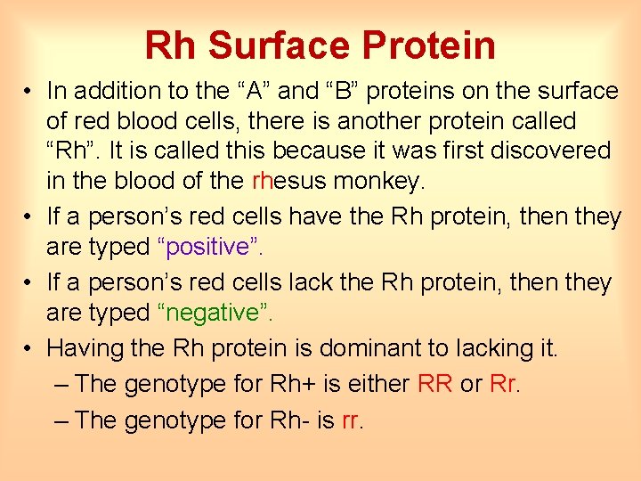 Rh Surface Protein • In addition to the “A” and “B” proteins on the