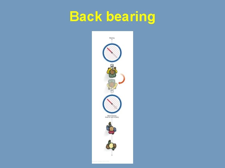 Back bearing 