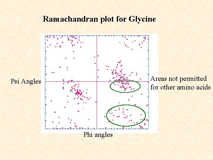 Ramachandran plot for Glycine Areas not permitted for other amino acids Psi Angles Phi