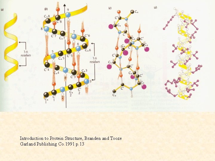 Introduction to Protein Structure, Branden and Tooze Garland Publishing Co. 1991 p. 13 
