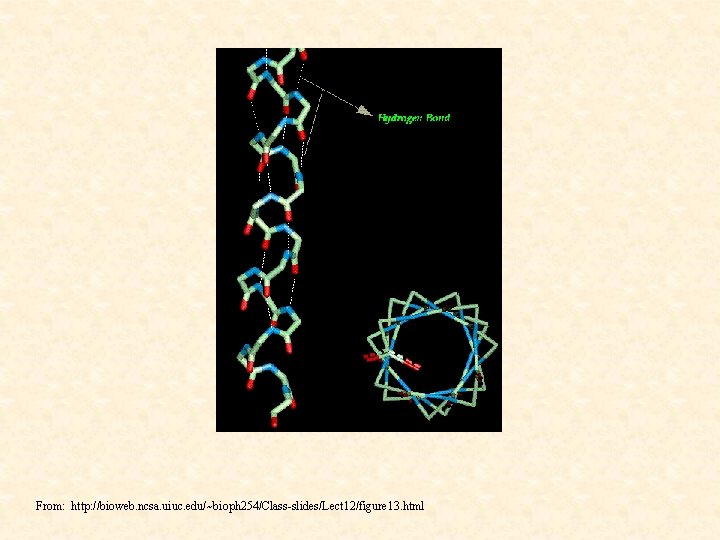 From: http: //bioweb. ncsa. uiuc. edu/~bioph 254/Class-slides/Lect 12/figure 13. html 