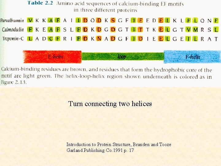 Turn connecting two helices Introduction to Protein Structure, Branden and Tooze Garland Publishing Co.