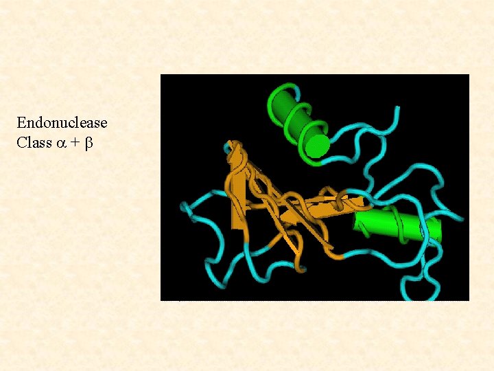 Endonuclease Class a + b 