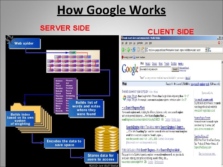 How Google Works SERVER SIDE CLIENT SIDE 