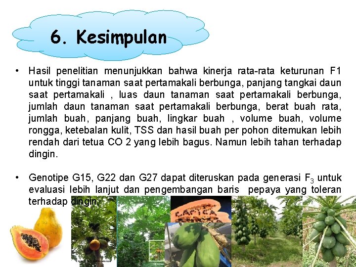 6. Kesimpulan • Hasil penelitian menunjukkan bahwa kinerja rata-rata keturunan F 1 untuk tinggi