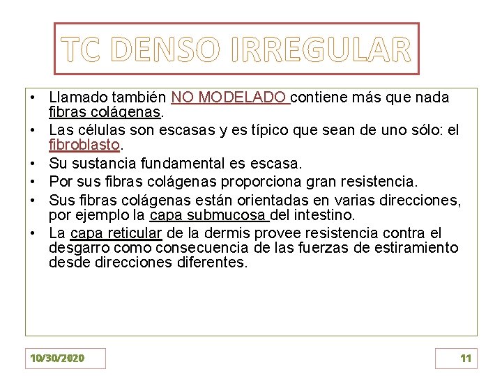 TC DENSO IRREGULAR • Llamado también NO MODELADO contiene más que nada fibras colágenas