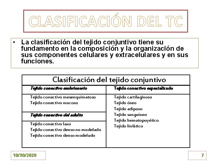 CLASIFICACIÓN DEL TC • La clasificación del tejido conjuntivo tiene su fundamento en la