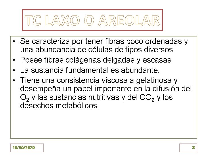 TC LAXO O AREOLAR • Se caracteriza por tener fibras poco ordenadas y una