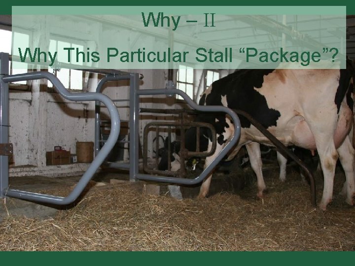 Why – II Why This Particular Stall “Package”? 