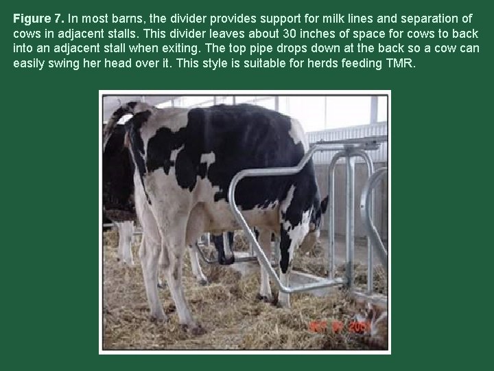 Figure 7. In most barns, the divider provides support for milk lines and separation