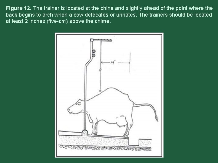 Figure 12. The trainer is located at the chine and slightly ahead of the