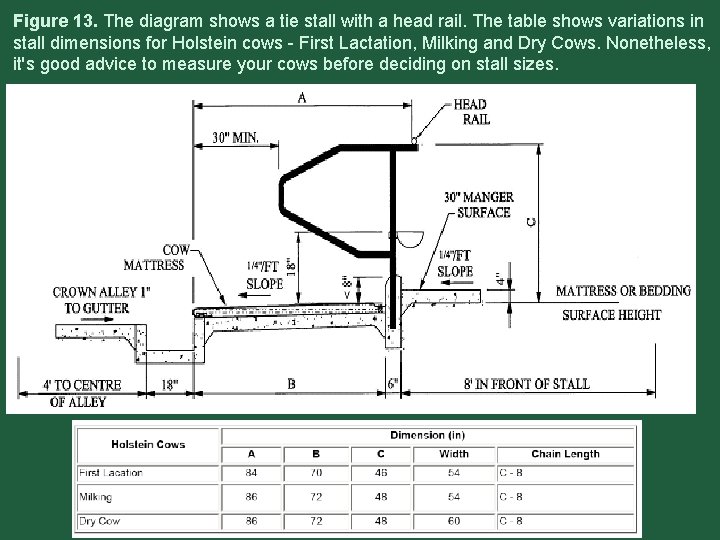 Figure 13. The diagram shows a tie stall with a head rail. The table