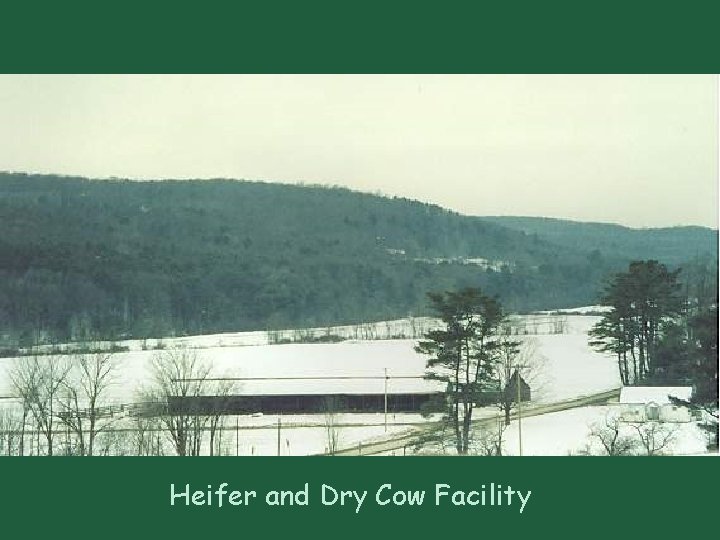 Heifer and Dry Cow Facility 