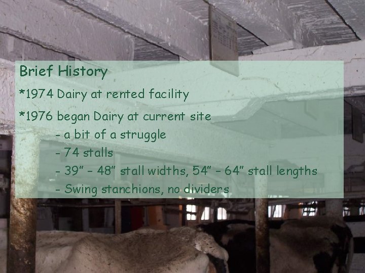 Brief History *1974 Dairy at rented facility *1976 began Dairy at current site -