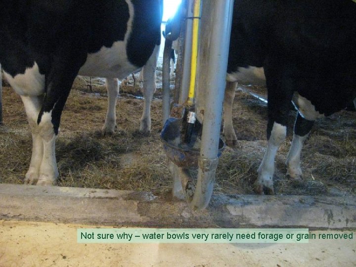 Not sure why – water bowls very rarely need forage or grain removed 