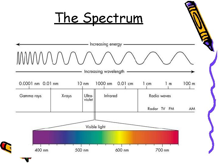 The Spectrum – Blue light has the shortest wavelength (450 nm) – Red light