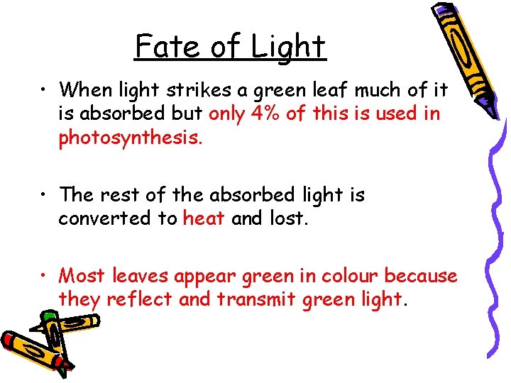 Fate of Light • When light strikes a green leaf much of it is