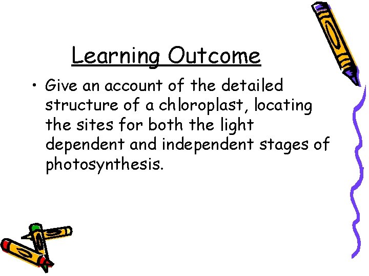 Learning Outcome • Give an account of the detailed structure of a chloroplast, locating