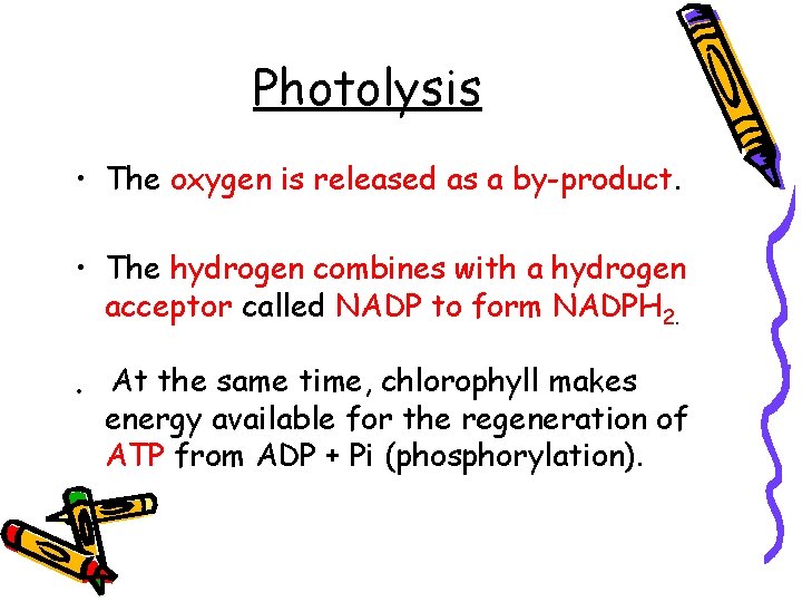 Photolysis • The oxygen is released as a by-product. • The hydrogen combines with