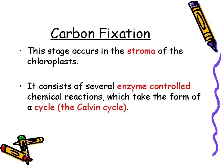 Carbon Fixation • This stage occurs in the stroma of the chloroplasts. • It