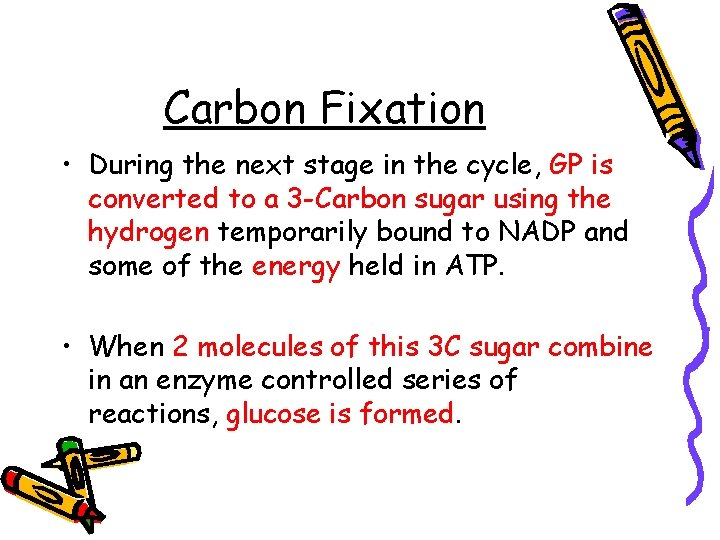 Carbon Fixation • During the next stage in the cycle, GP is converted to