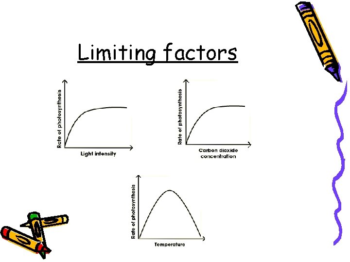 Limiting factors 