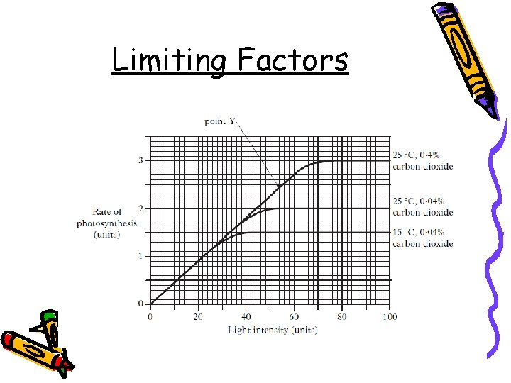 Limiting Factors 