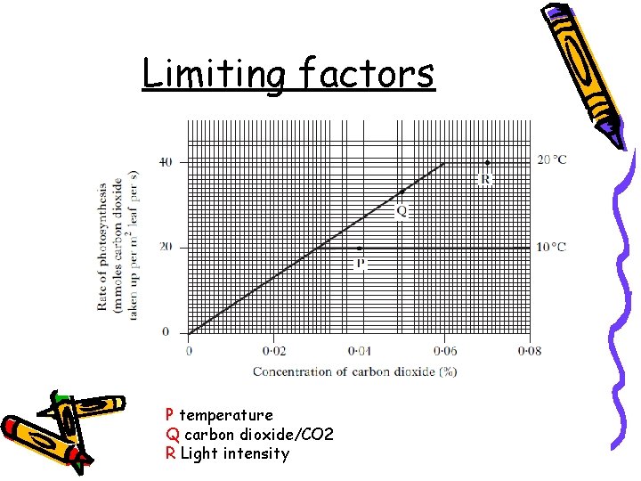 Limiting factors P temperature Q carbon dioxide/CO 2 R Light intensity 