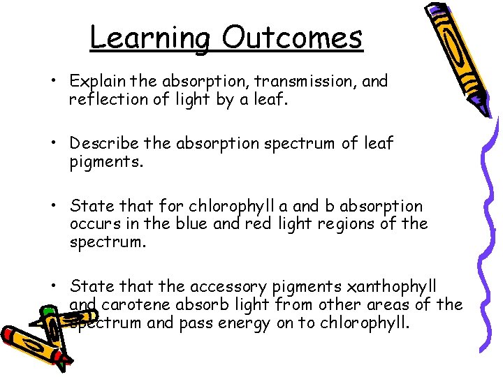 Learning Outcomes • Explain the absorption, transmission, and reflection of light by a leaf.