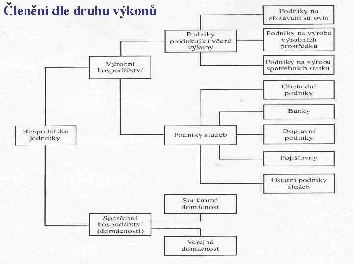 Členění dle druhu výkonů 