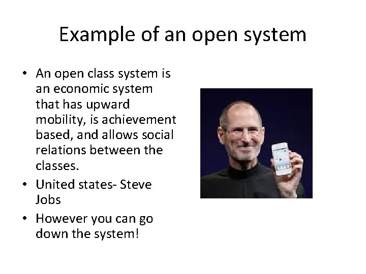 Example of an open system • An open class system is an economic system