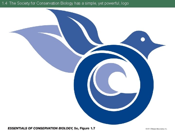 1. 4 The Society for Conservation Biology has a simple, yet powerful, logo 