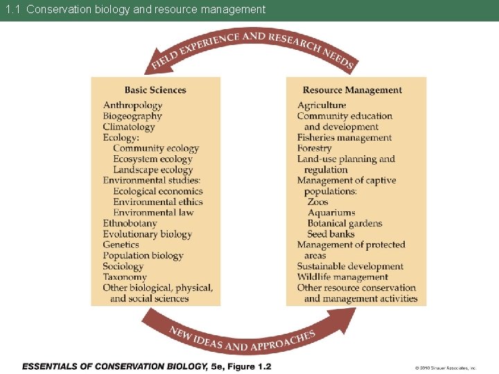 1. 1 Conservation biology and resource management 