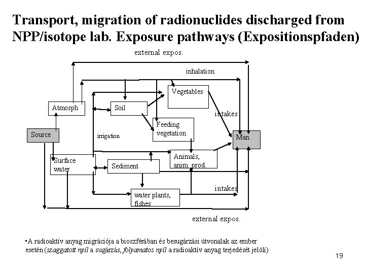 Transport, migration of radionuclides discharged from NPP/isotope lab. Exposure pathways (Expositionspfaden) external expos. inhalation