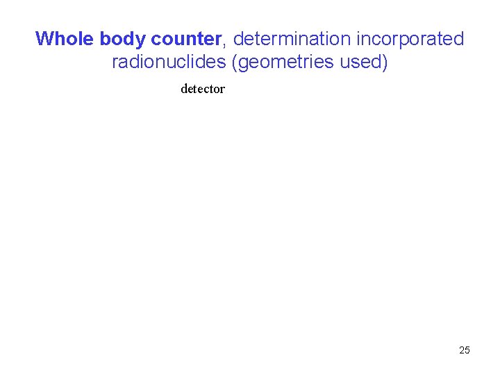 Whole body counter, determination incorporated radionuclides (geometries used) detector 25 