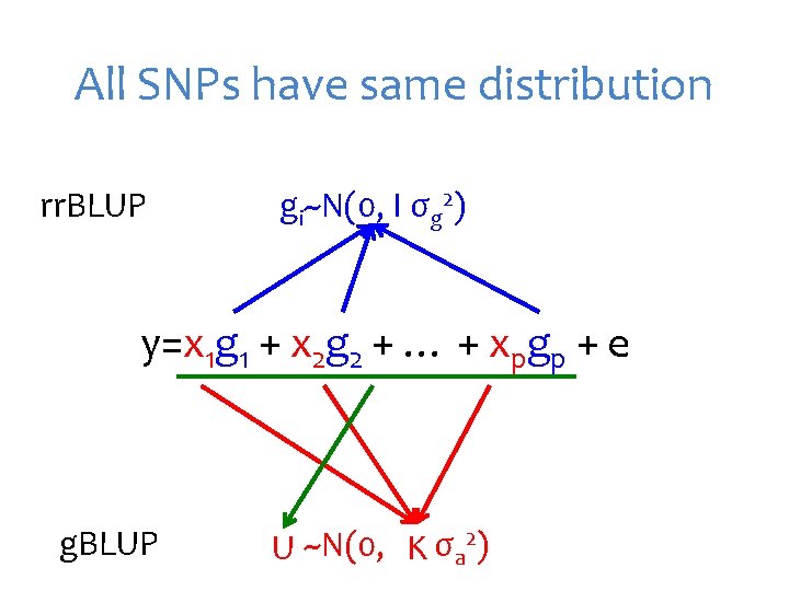 All SNPs have same distribution rr. BLUP gi~N(0, I σg 2) y=x 1 g
