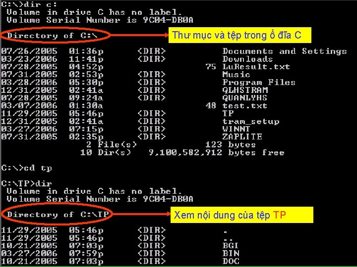 Thư mục và tệp trong ổ đĩa C Xem nội dung của tệp TP