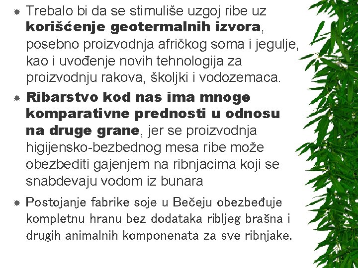  Trebalo bi da se stimuliše uzgoj ribe uz korišćenje geotermalnih izvora, posebno proizvodnja