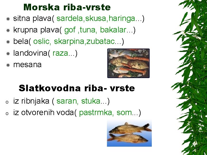 Morska riba-vrste sitna plava( sardela, skusa, haringa. . . ) krupna plava( gof ,