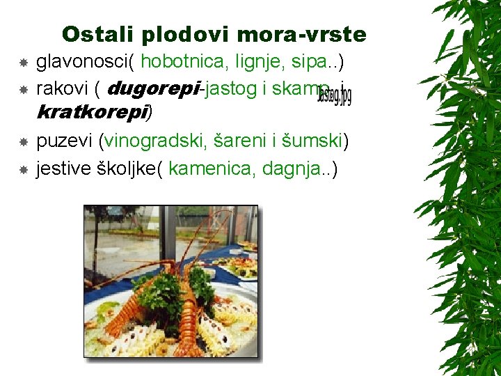 Ostali plodovi mora-vrste glavonosci( hobotnica, lignje, sipa. . ) rakovi ( dugorepi-jastog i skamp,