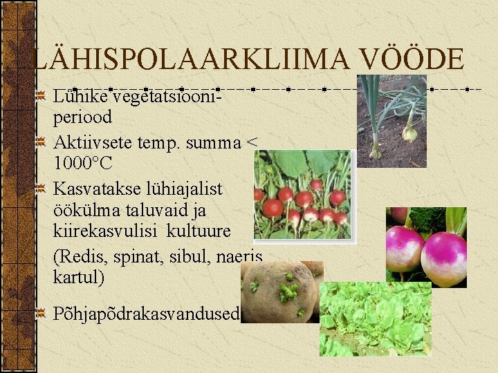 LÄHISPOLAARKLIIMA VÖÖDE Lühike vegetatsiooniperiood Aktiivsete temp. summa < 1000°C Kasvatakse lühiajalist öökülma taluvaid ja