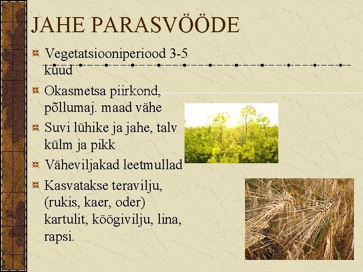JAHE PARASVÖÖDE Vegetatsiooniperiood 3 -5 kuud Okasmetsa piirkond, põllumaj. maad vähe Suvi lühike ja