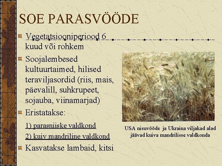 SOE PARASVÖÖDE Vegetatsiooniperiood 6 kuud või rohkem Soojalembesed kultuurtaimed, hilised teraviljasordid (riis, mais, päevalill,